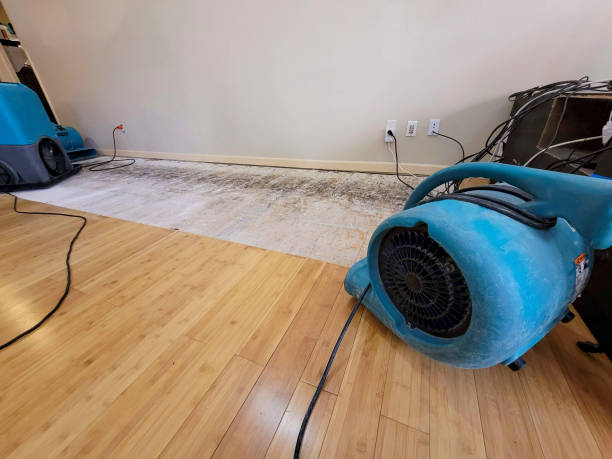 Professional Water Removal technician working in Carnegie, PA